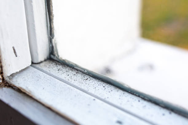 Best Residential Mold Inspection & Testing  in Sandusky, OH