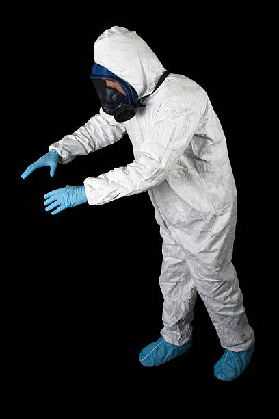 Reliable Sandusky, OH Mold Removal Solutions