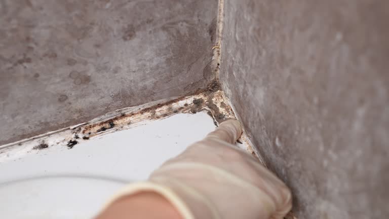 Best Indoor Air Quality Assessment  in Sandusky, OH